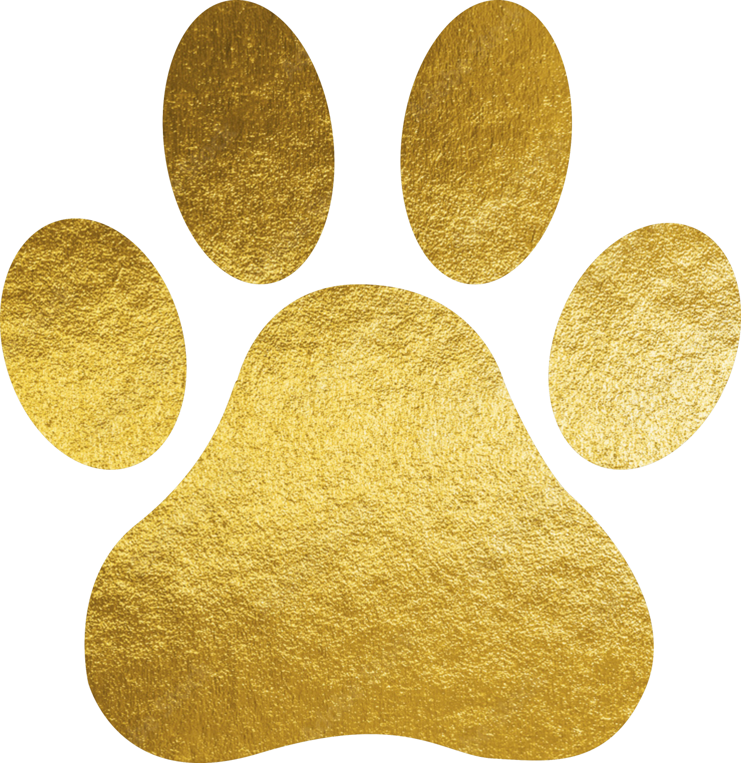 Gold Paw Illustration